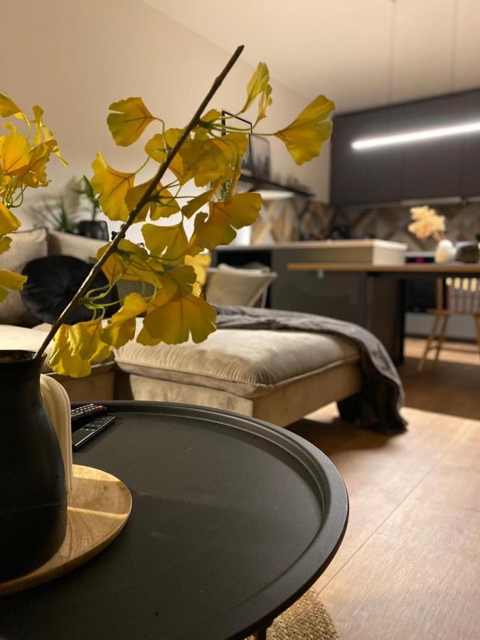 Apartmán Boosko Me 2 Busko-Zdrój Exteriér fotografie