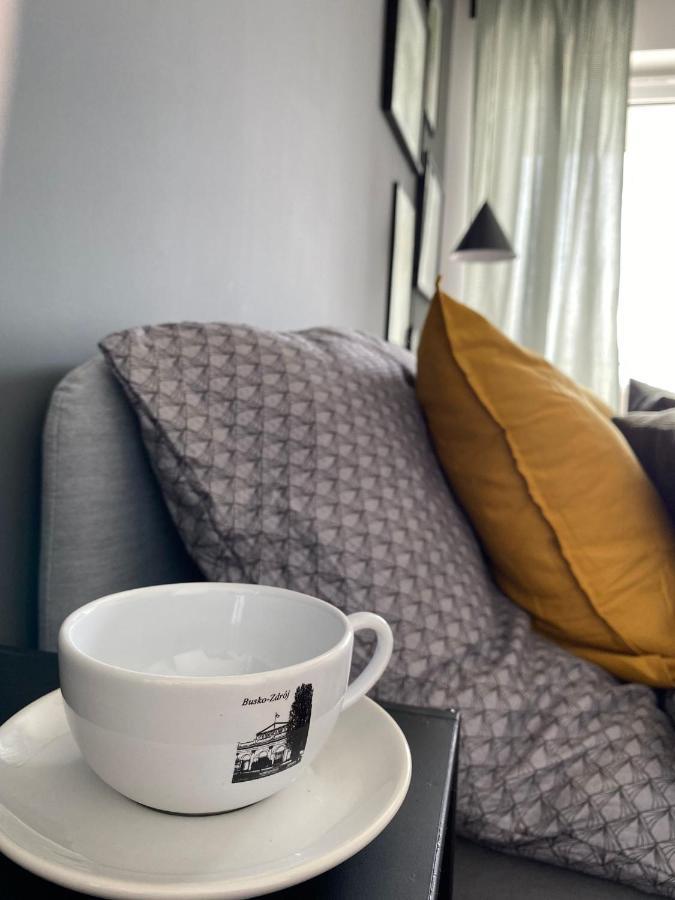 Apartmán Boosko Me 2 Busko-Zdrój Exteriér fotografie